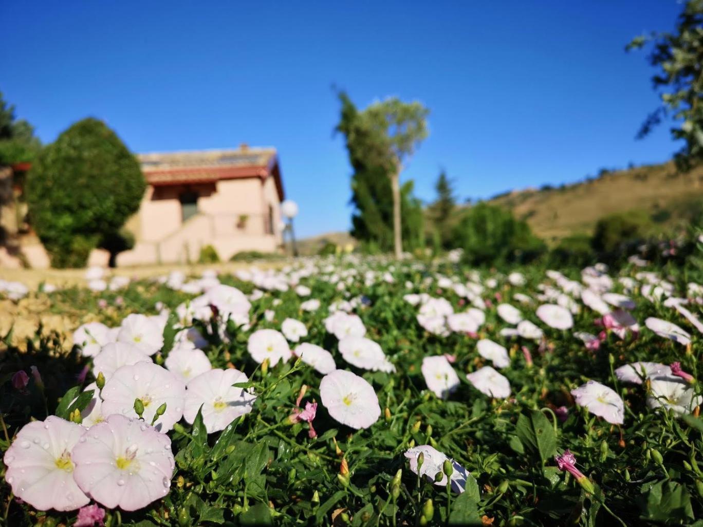 Panorama Suite Piazza Armerina Bagian luar foto