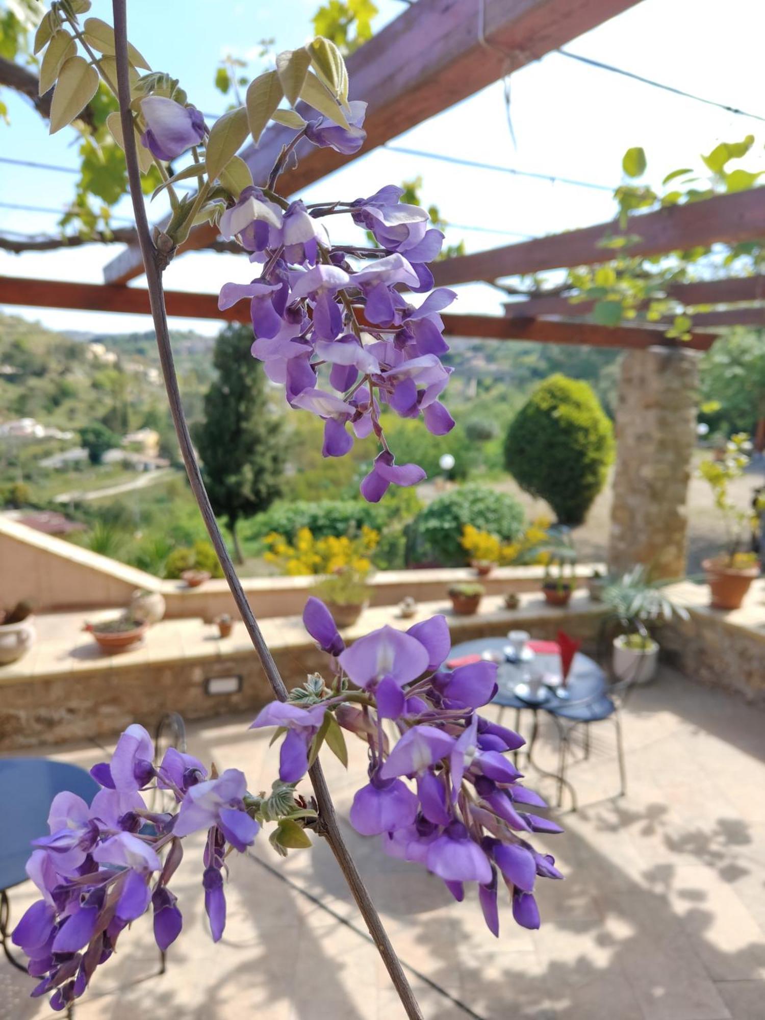 Panorama Suite Piazza Armerina Bagian luar foto